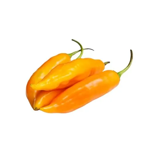 Mr PIC Aji Amarillo polvere peperoncino 15 g fruttata
