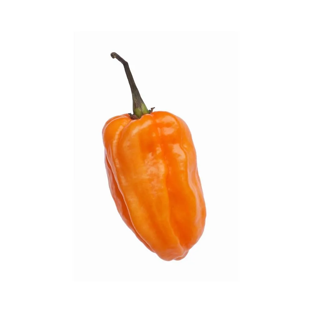 Mr PIC Habanero Arancio polvere peperoncino 15 g fodmap