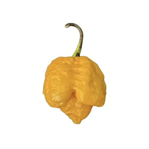 Mr PIC Moruga Giallo crema 90g estrema