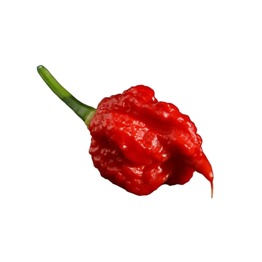 Mr PIC Big Bang salsa piccante 100ml atomica