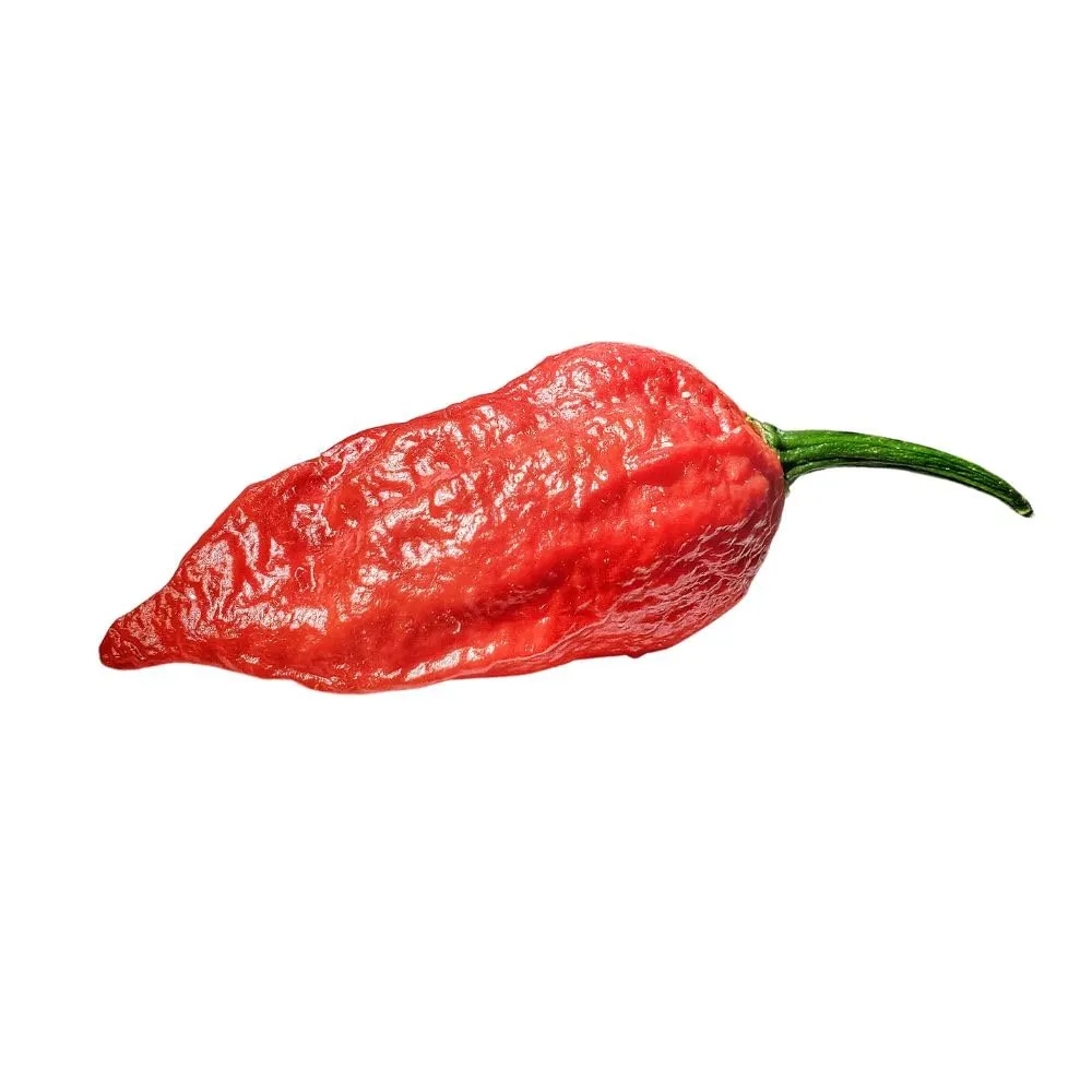 Mr PIC Bhut Jolokia crema peperoncino 90 g estrema