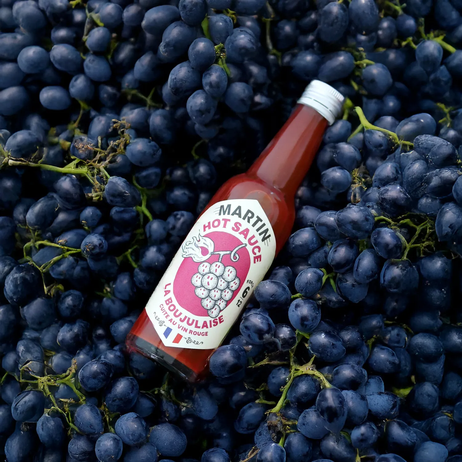 Maison Martin La Boujulaise salsa piccante vino Gamay forza 6