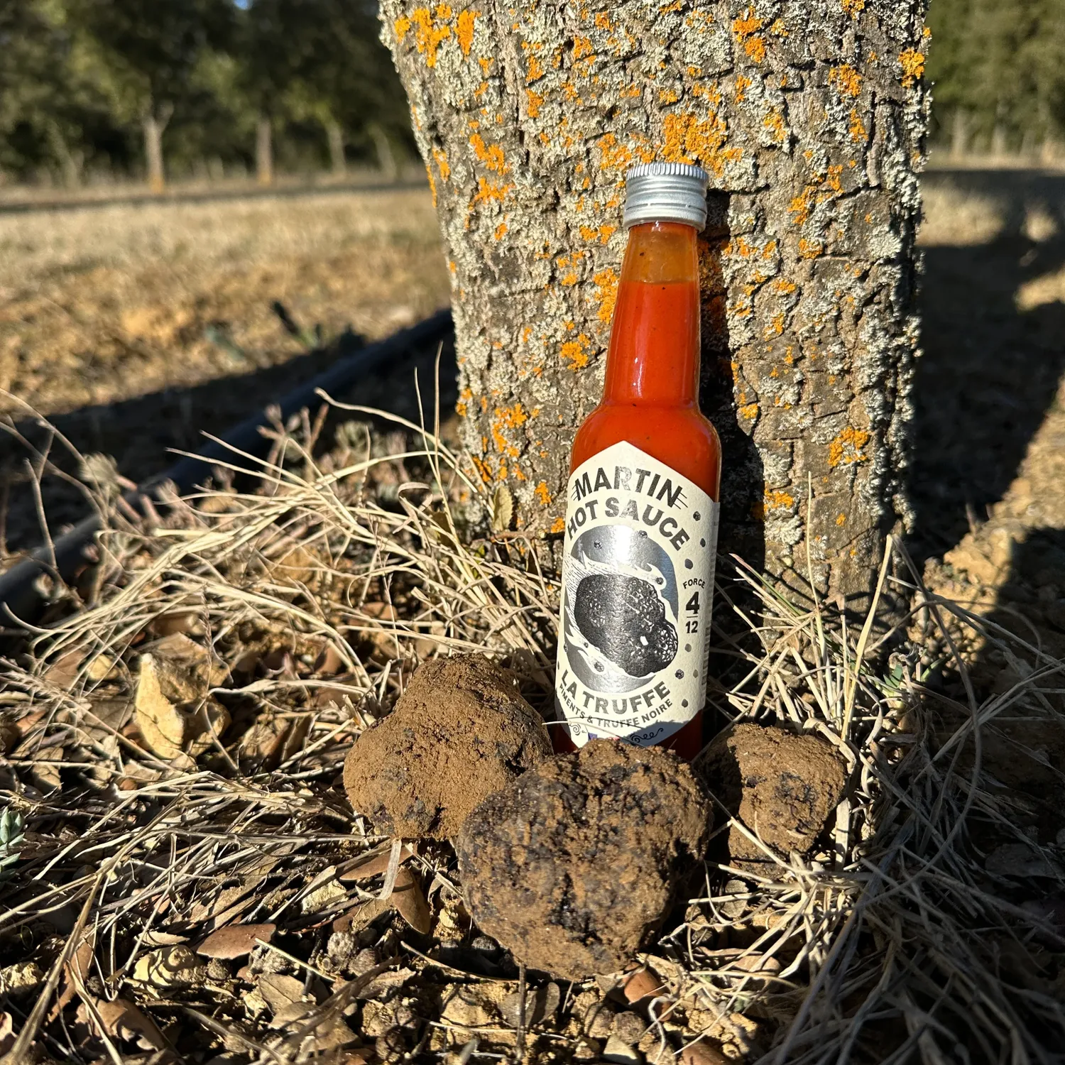 Maison Martin Truffe salsa piccante al tartufo forza 4