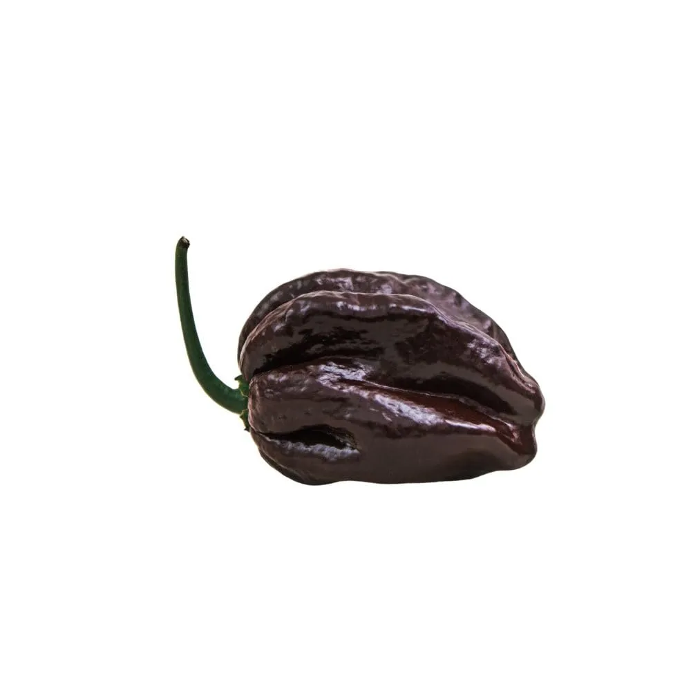 Mr PIC Habanero Chocolate Spaghetti peperoncino 500 g affumicato