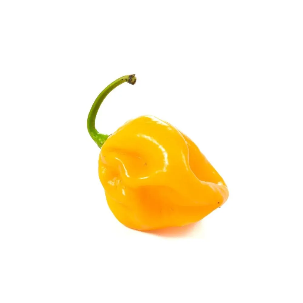 Mr PIC Habanero Giallo crema di peperoncino 90 g molto piccante